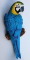 Papegaai klein blauw 800